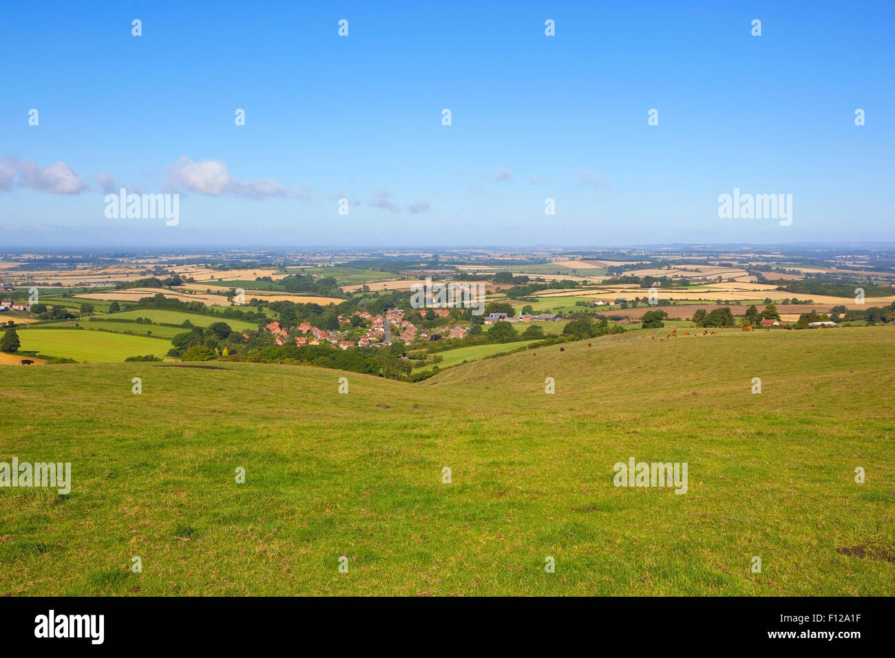 Acklam village and the distant Vale of York viewed from a grassy meadow high on the Yorkshire wolds in summertime. Stock Photo