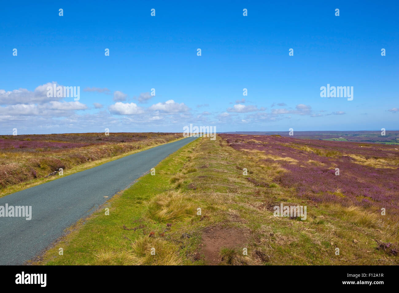 Blue summer sky over purple flowering heather and the road across Westerdale moor on the North York moors in August. Stock Photo