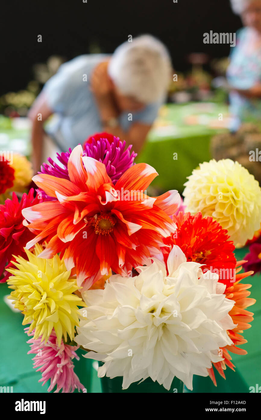 Judging the Flowers at a Village Show Stock Photo