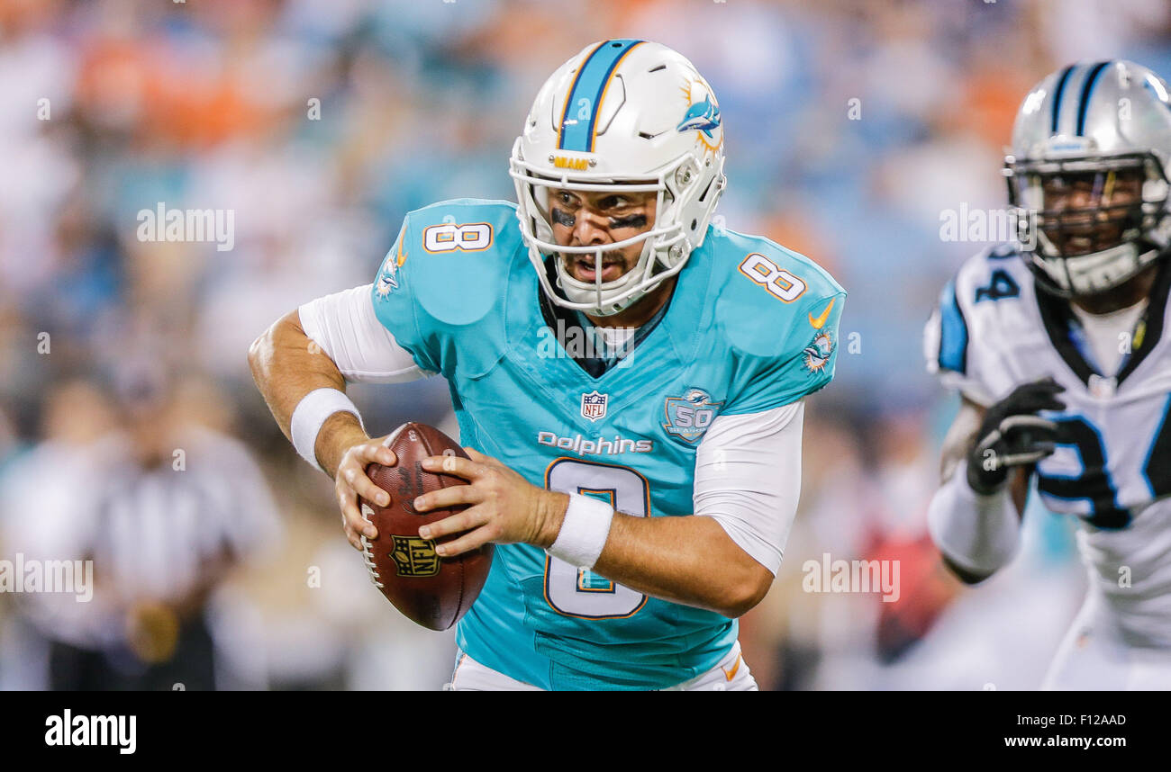 Fbn steelers panthers hi-res stock photography and images - Alamy