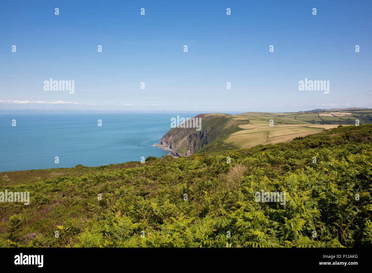 Coastal paths rugged cliffs hi-res stock photography and images - Alamy
