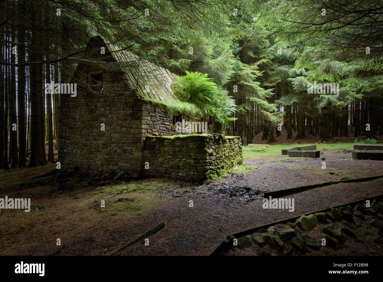 Stone Cottage House Woods Stock Photos Stone Cottage House Woods