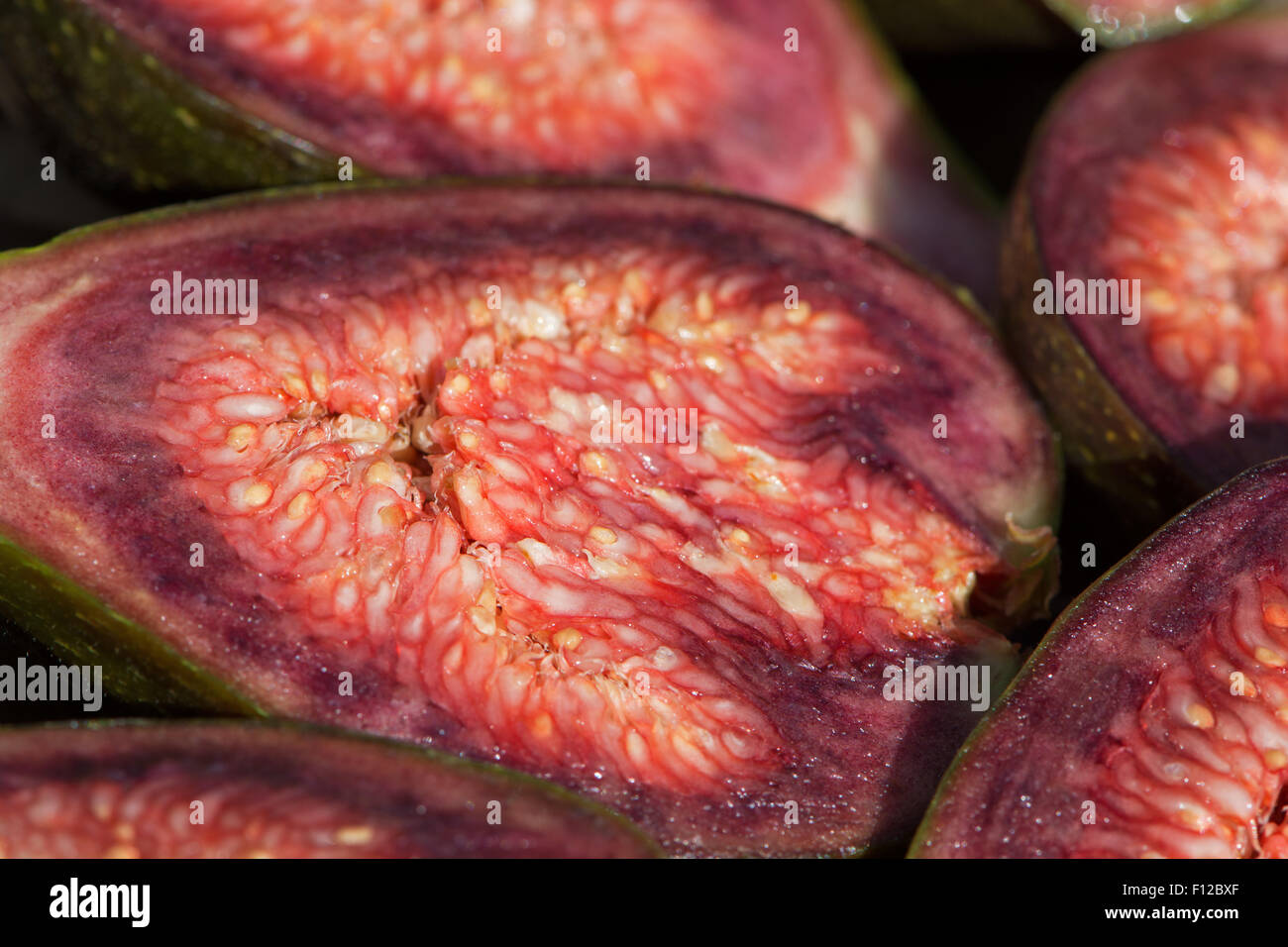Halved fresh Brown Turkey figs Stock Photo