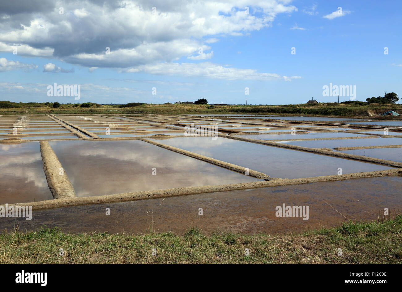 Salt pans and levees at Pointe de Pen Bron, Guerande, Loire-Atlantique, France Stock Photo