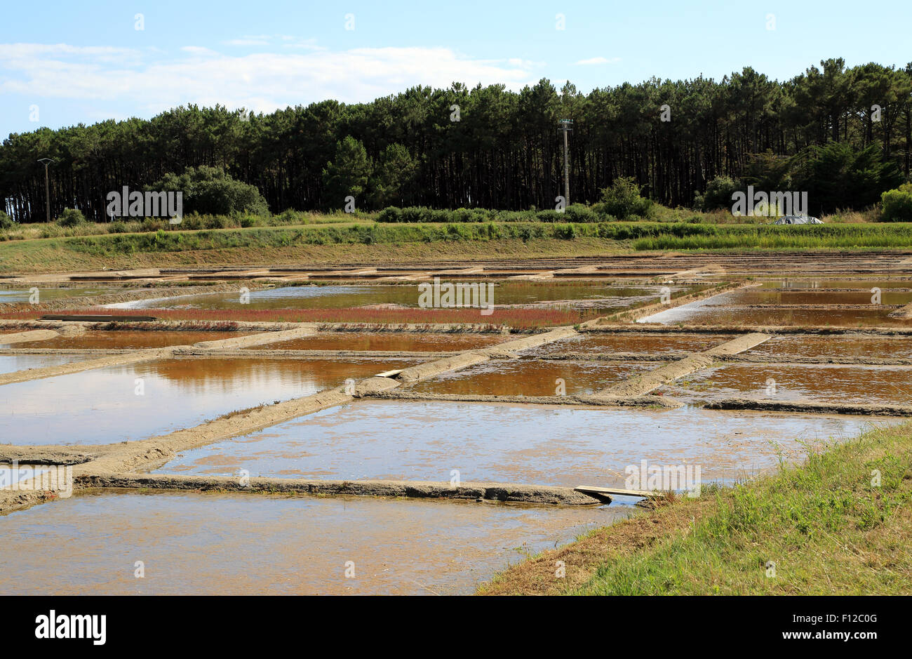 Salt pans and levees at Pointe de Pen Bron, Guerande, Loire-Atlantique, France Stock Photo