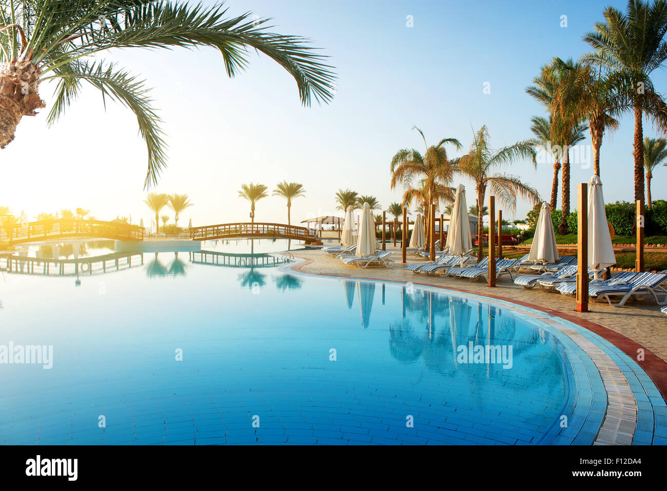 Swimming pool and big green palms at sunrise Stock Photo