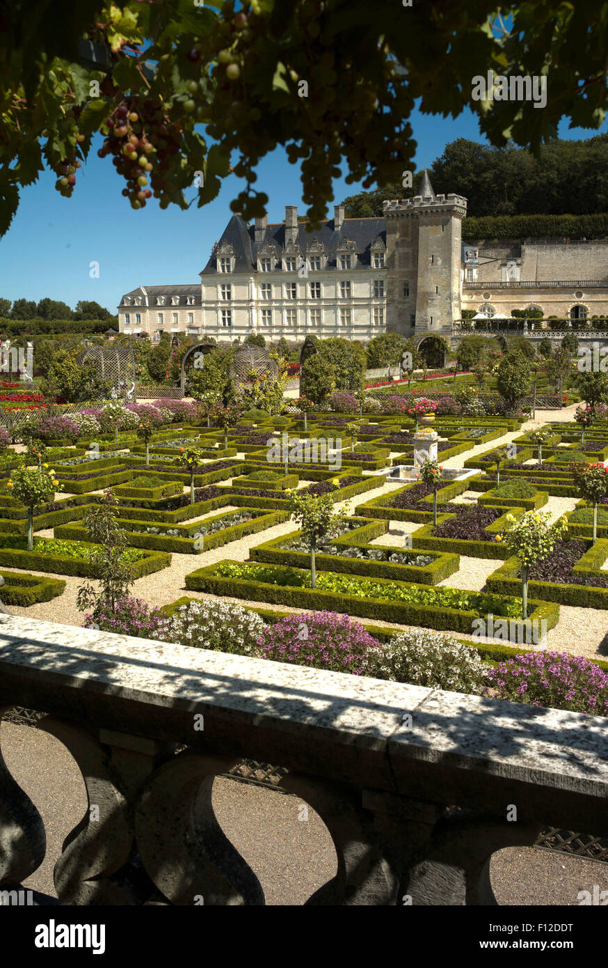 Gardens at Château de Villandry, Loire Valley, France Stock Photo