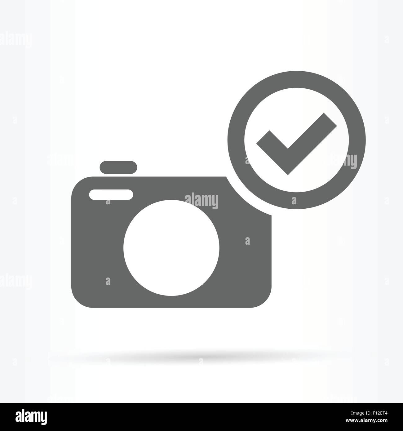 camera confirm image icon vector illustration Stock Vector