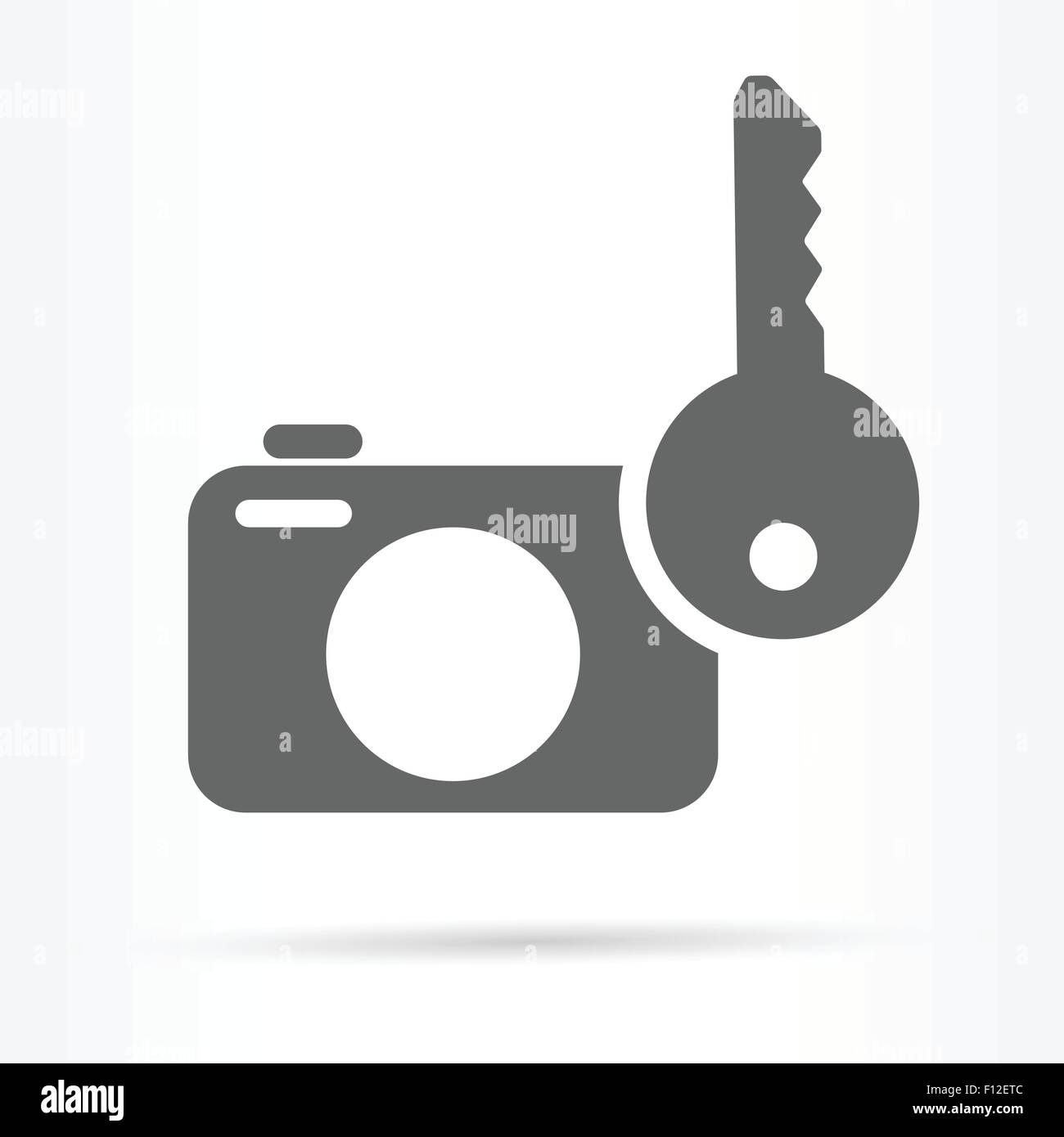 photo safety storage web icon vector illustration Stock Vector