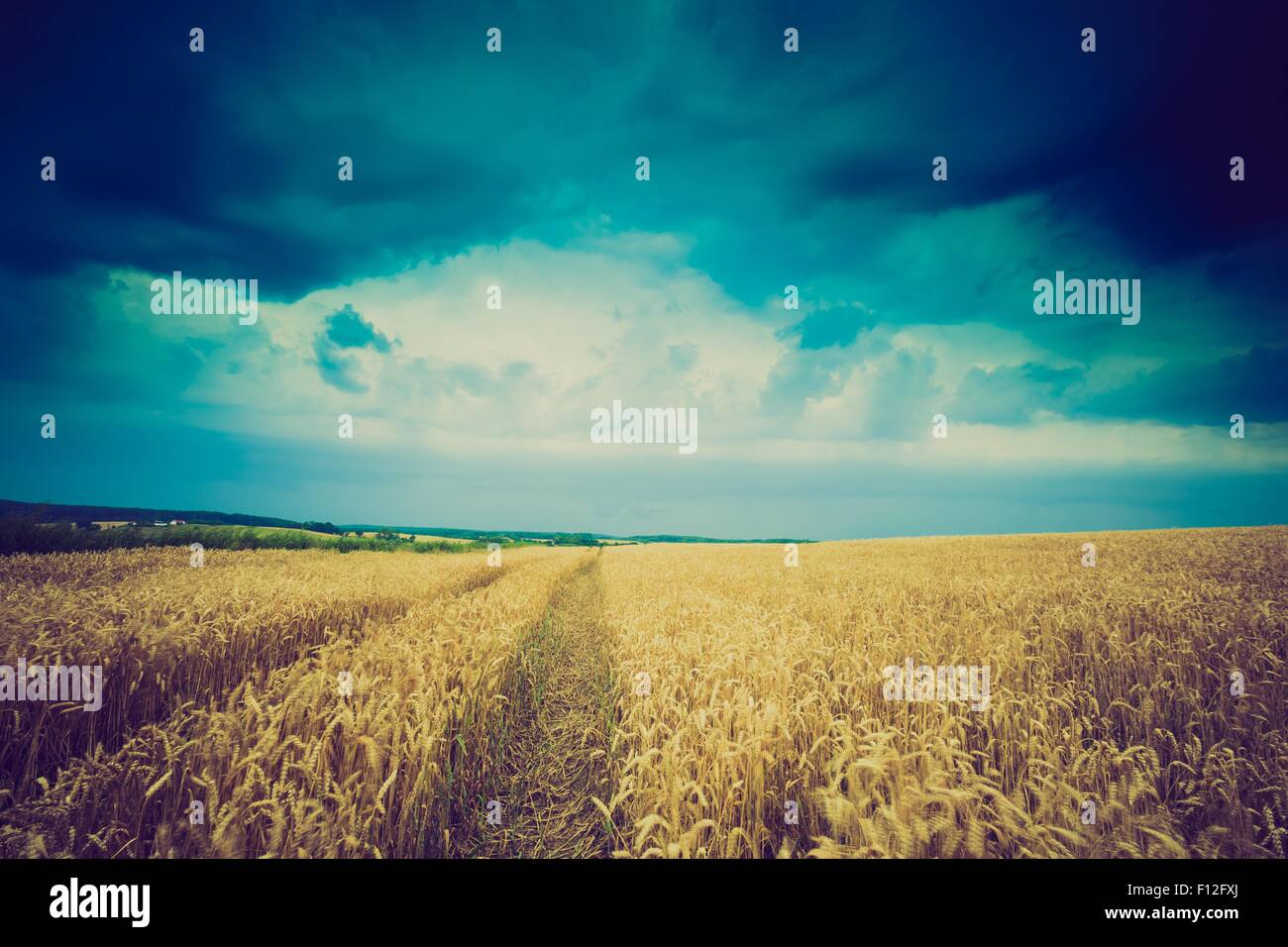 Vintage photo of storm clouds over wheat field. Danger weather with ...