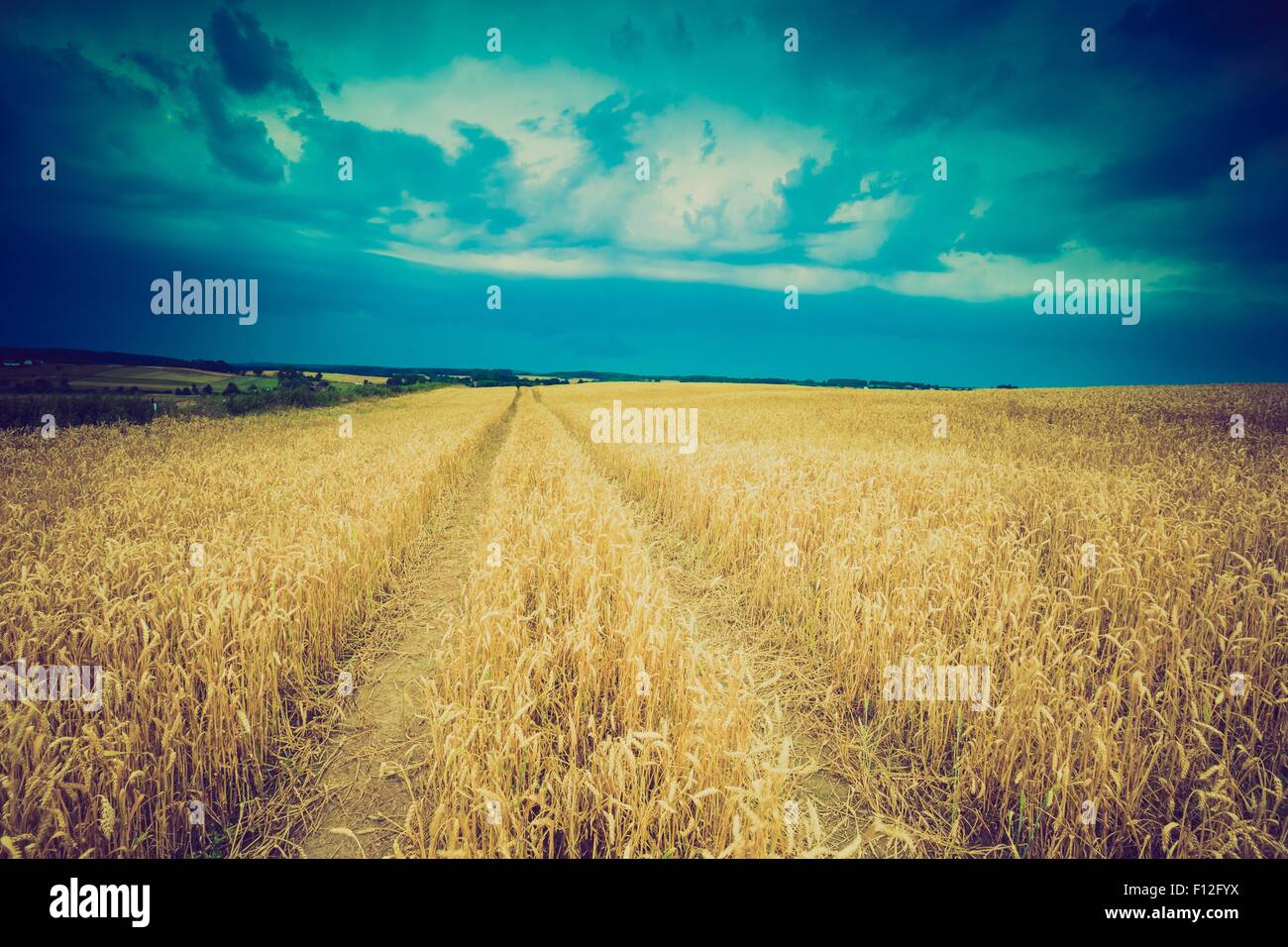 Vintage photo of storm clouds over wheat field. Danger weather with ...