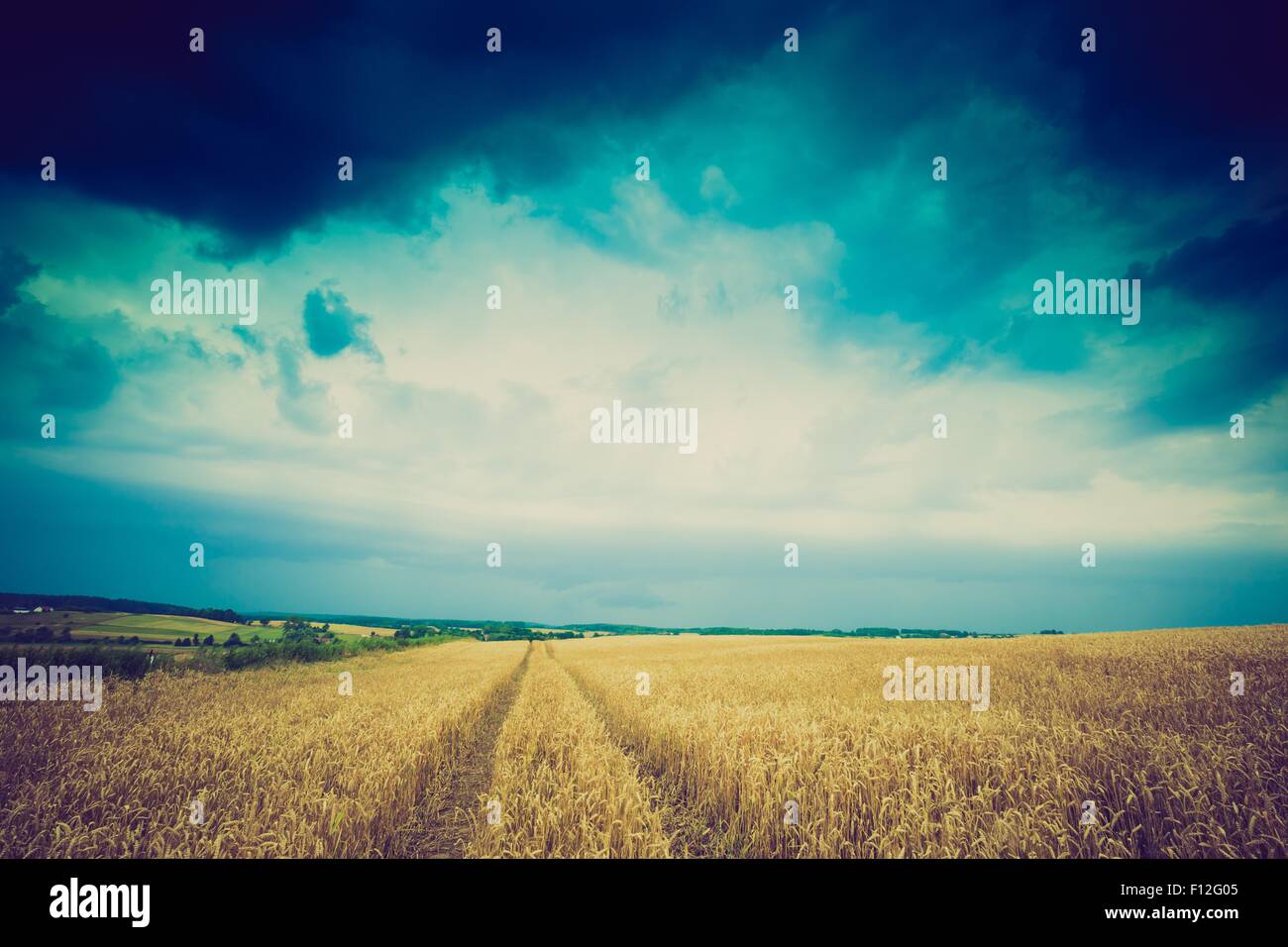 Vintage photo of storm clouds over wheat field. Danger weather with ...