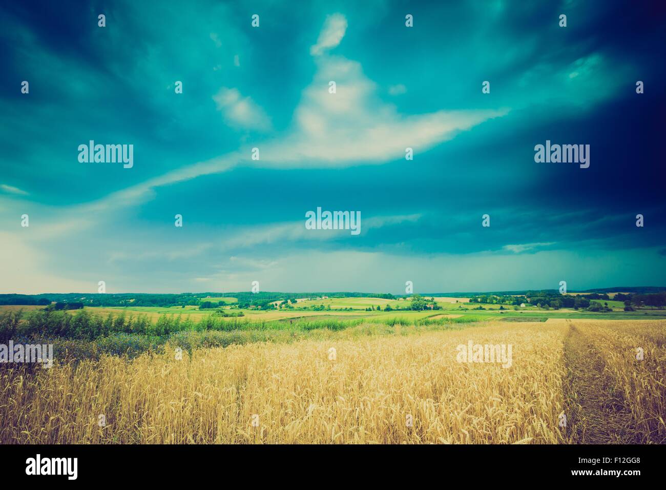 Vintage photo of storm clouds over wheat field. Danger weather with ...