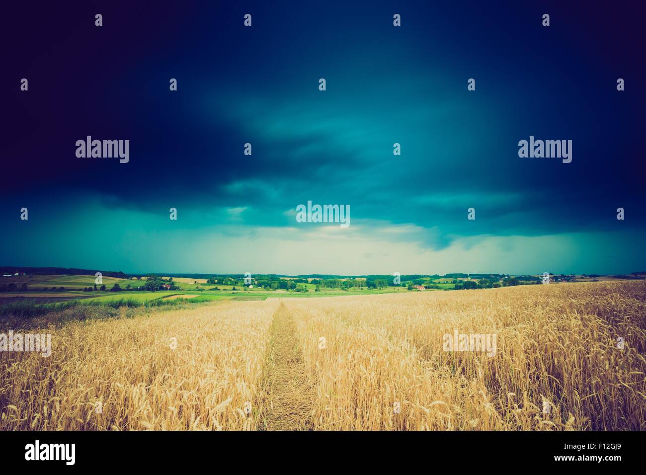 Vintage photo of storm clouds over wheat field. Danger weather with ...