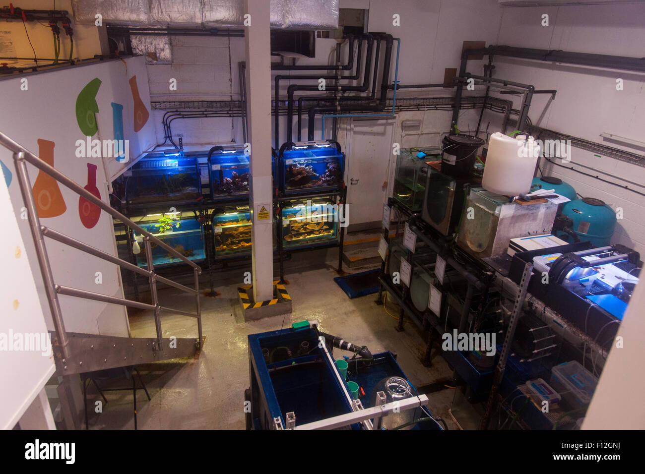 Research lab at the National marine aquarium, Plymouth, Devon, England