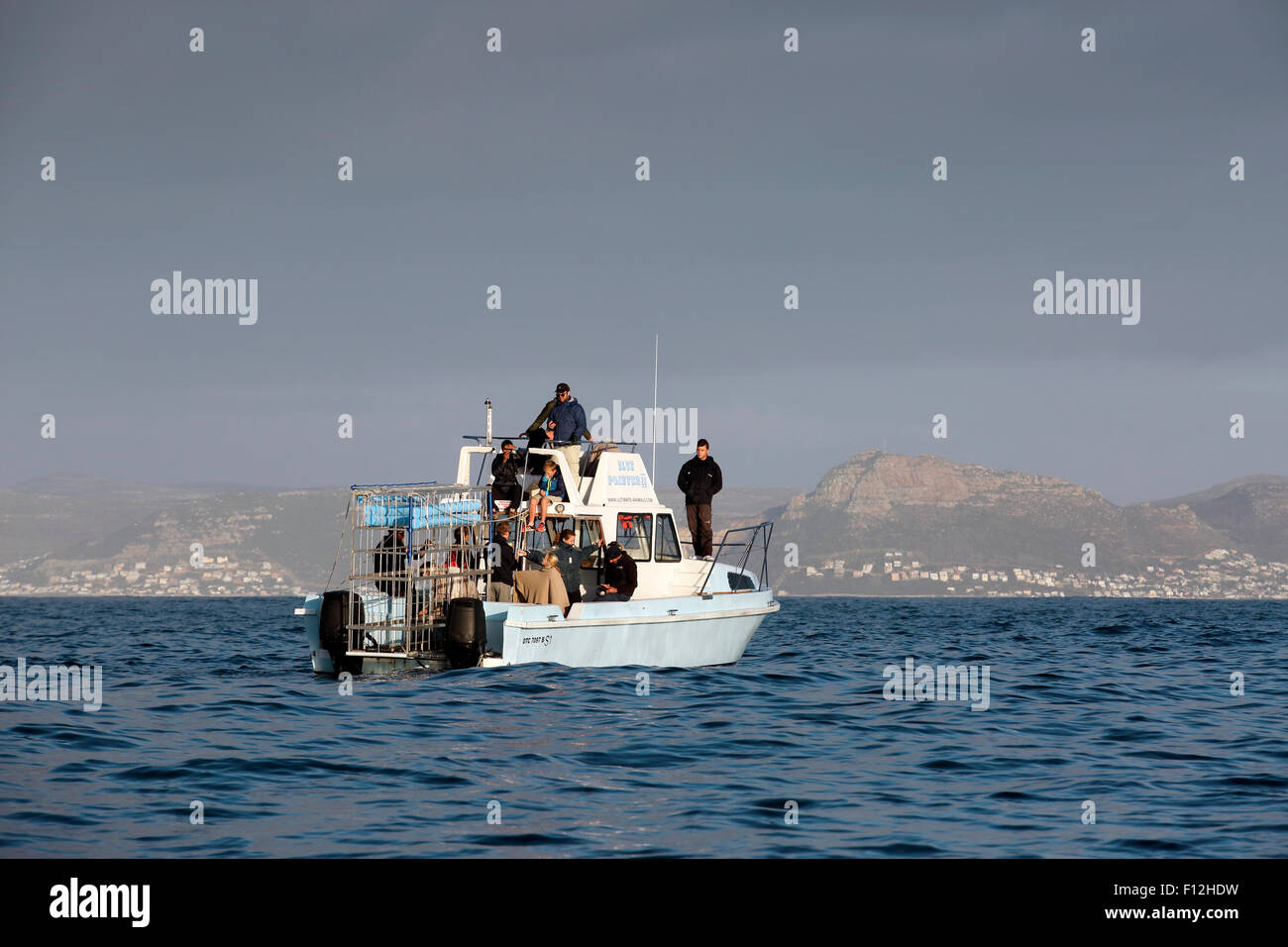 Great white shark cage diving boat in False Bay, Cape Town, South Africa Stock Photo