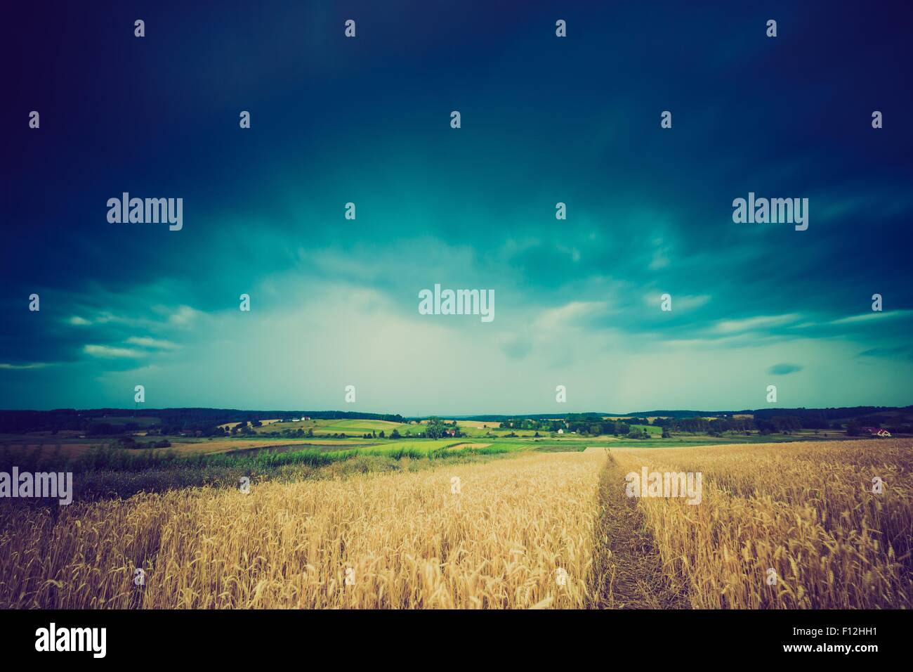 Vintage photo of storm clouds over wheat field. Danger weather with ...