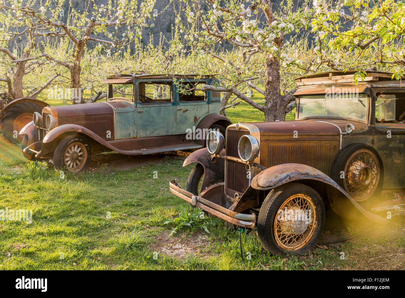Rusted old vehicles, Parsons Fruit Stand, Keremeos, Similkameen Valley, British Columbia, Canada Stock Photo