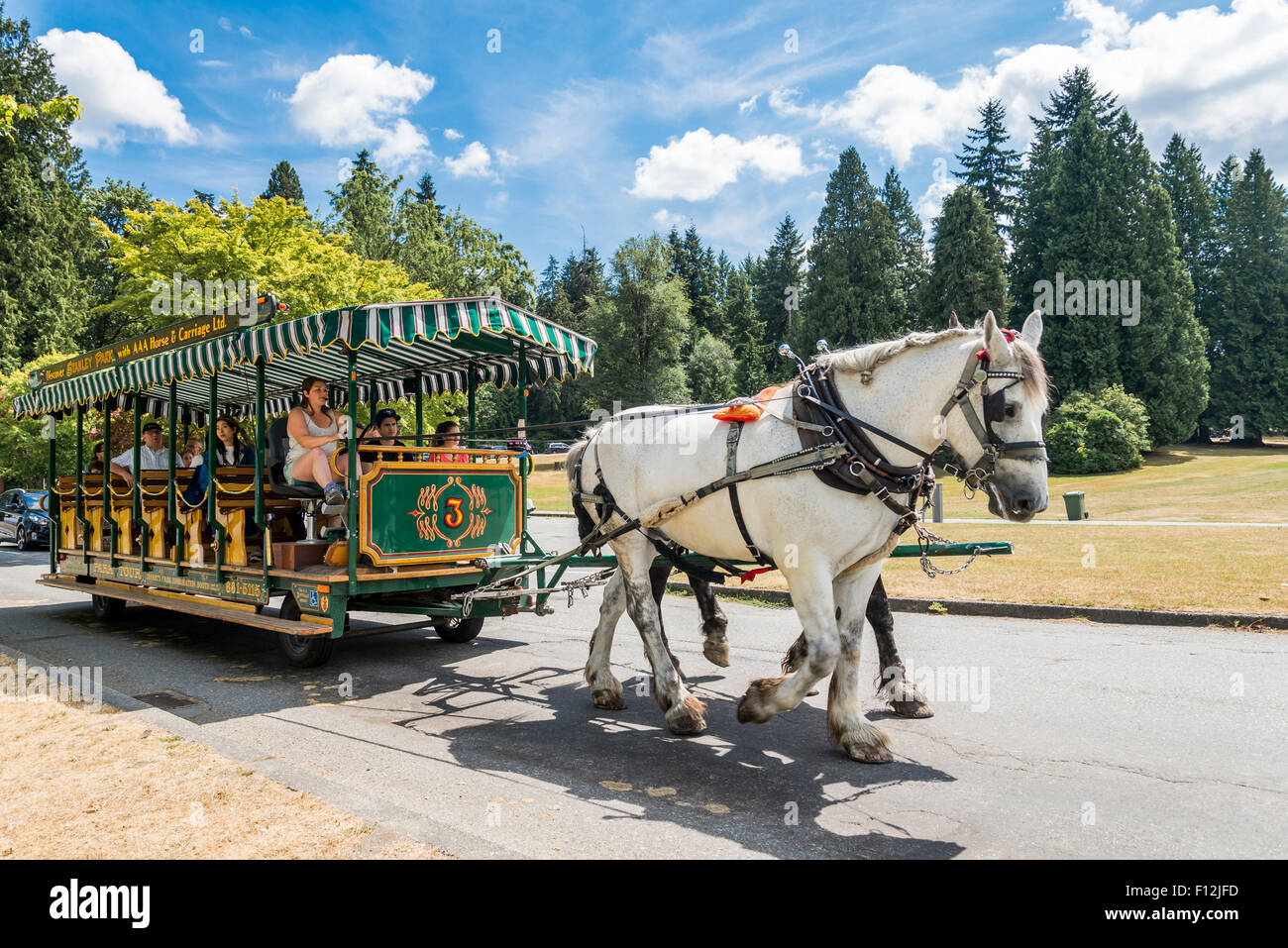 stanley park horse drawn carriage