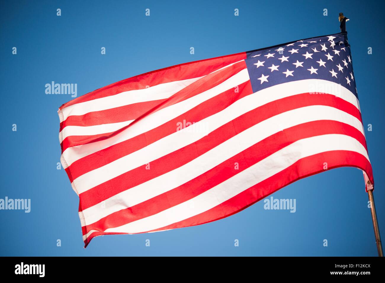 United States of America Flag. American Flag on Wind. Stock Photo