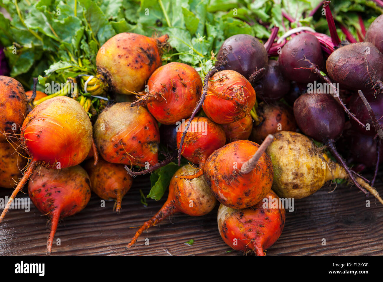 organic golden and purple beets, Farmers Market, Santa Barbara, California Stock Photo