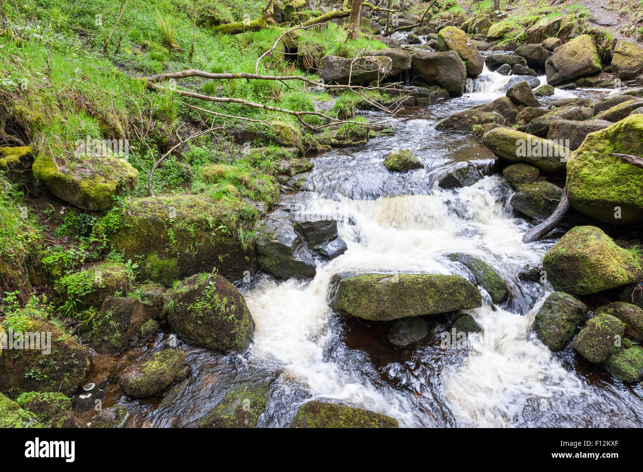 Fast running stream flowing over rocks. Burbage Brook, Padley Gorge, Derbyshire, Peak District National Park, England, UK Stock Photo