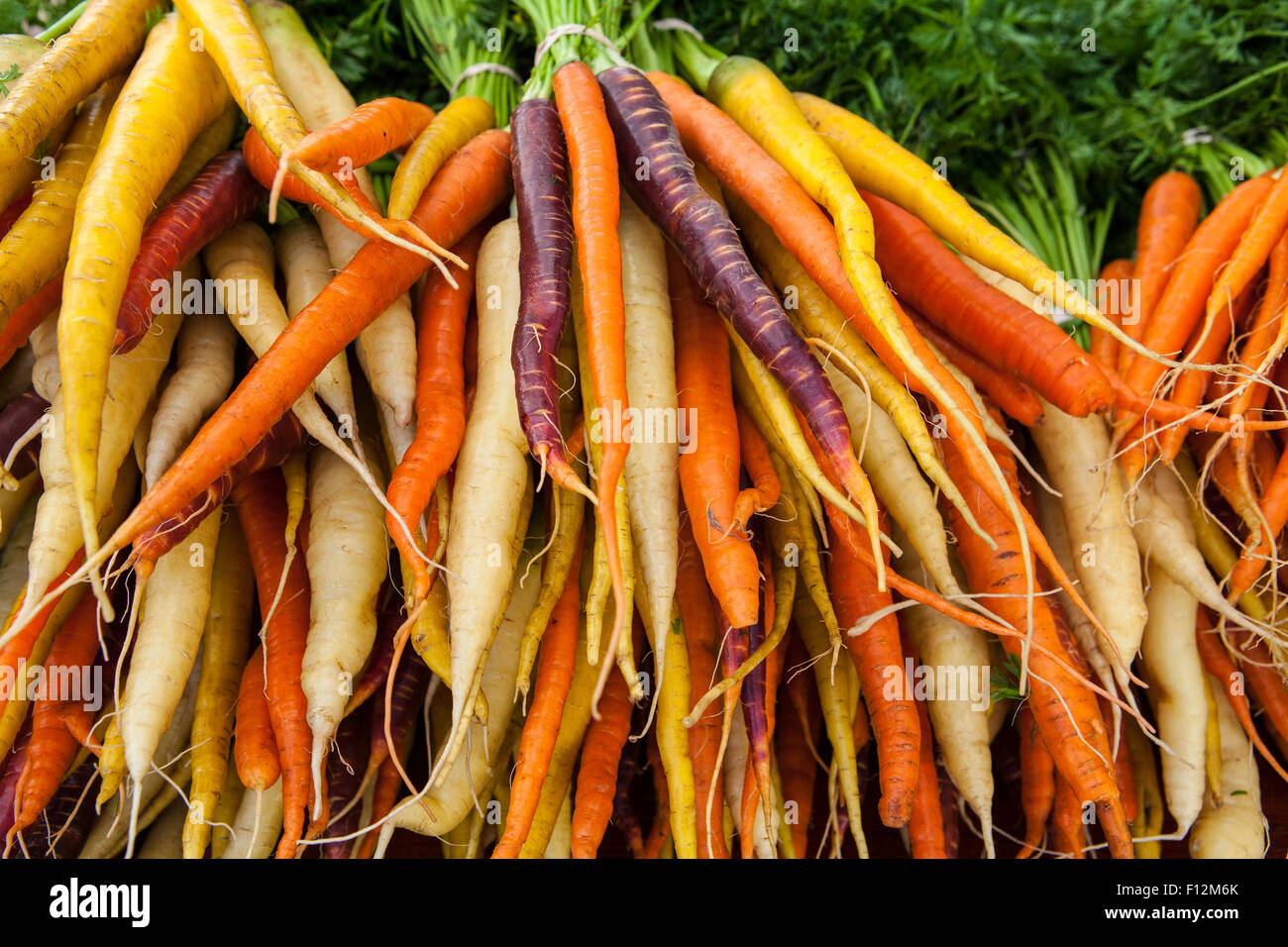 Carrots hires stock photography and images Alamy