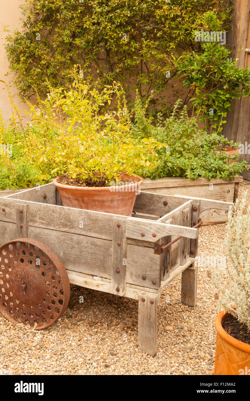 rustic decor, an old wheelbarrow, Roblar Winery, Santa Ynez, California Stock Photo