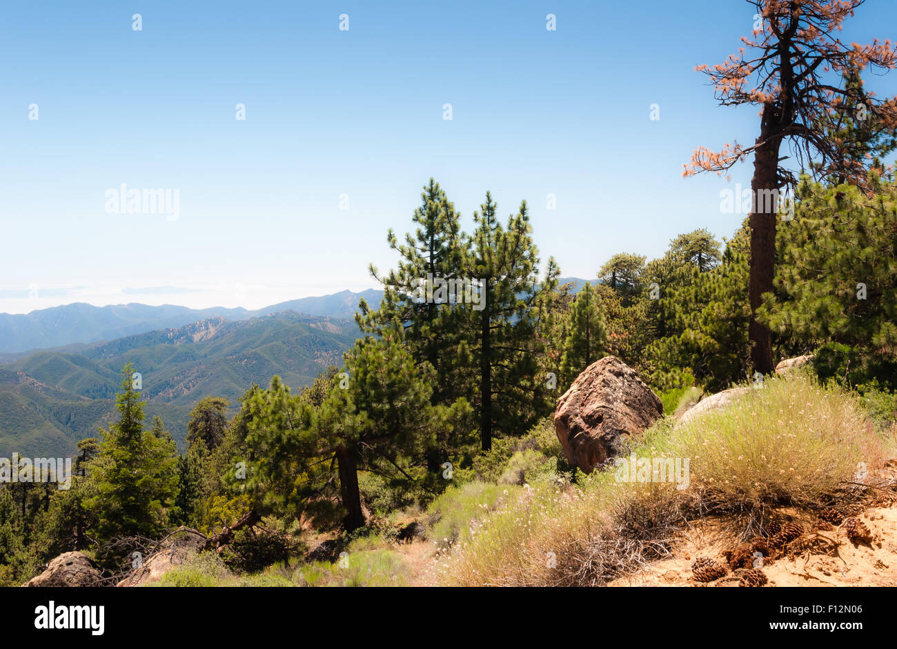 View towards Pacific Ocean from PIne Mountain Summit Campground in Los Padres National Forest Stock Photo