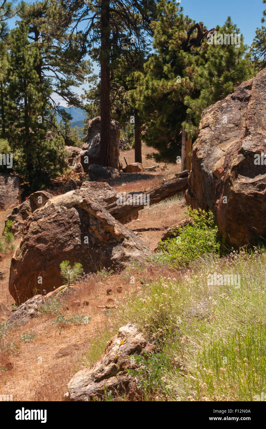 Over-sized boulders at Pine Mountain Summit Campground in Los Padres National Forest Stock Photo