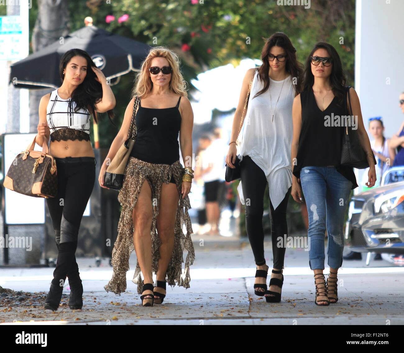 'Check Point' cast members sighted on Robertson Boulevard in West Hollywood  Featuring: Nasia Jansen, Stephanie Landrum, Olga Safari, Michelle Lee Where: Los Angeles, California, United States When: 24 Jun 2015 Stock Photo