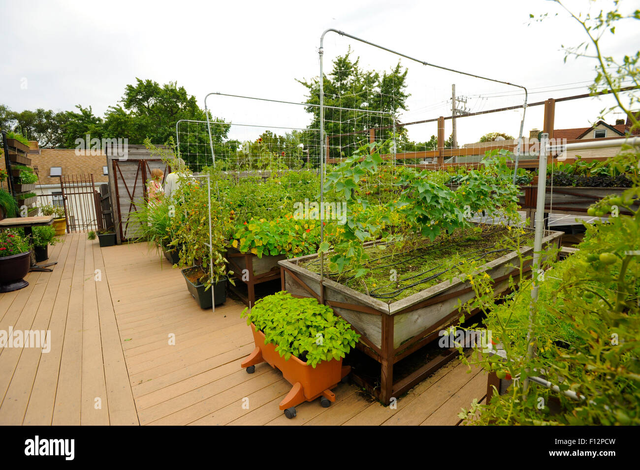 Rooftop Vegetable Garden High Resolution Stock Photography and Images