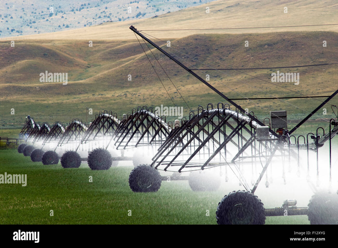 Irrigation in field in the Madison River Valley, Montana, USA Stock
