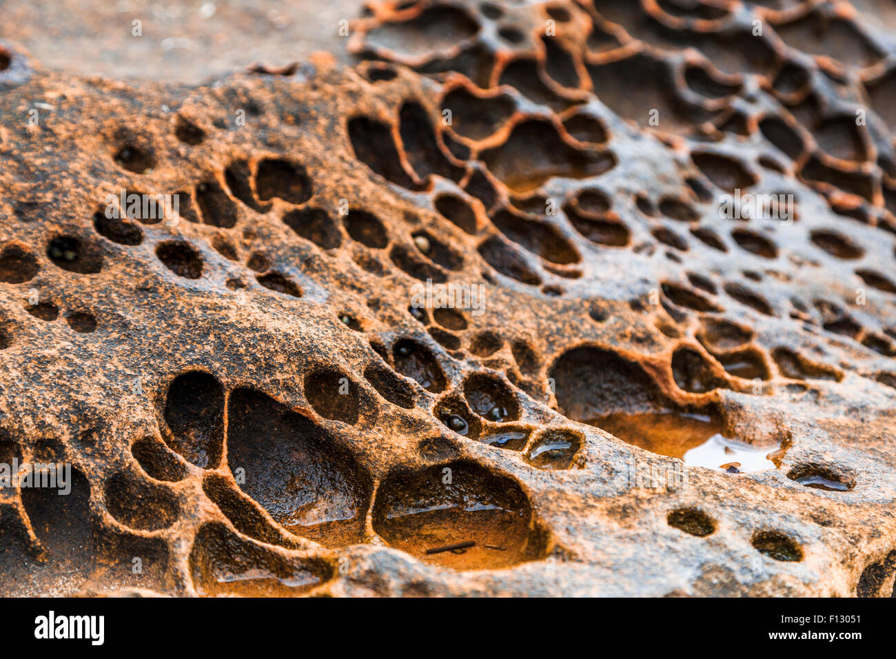 Intricate rock formation pattern on a beach in Dorset, England, UK. Stock Photo