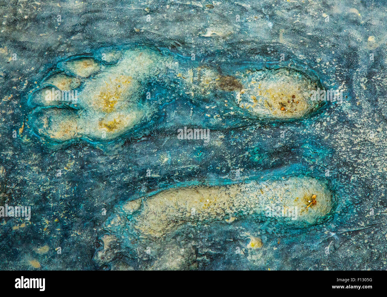 Footprints in Bosnia city Memorial for Children Killed During Sarajevo Siege Stock Photo