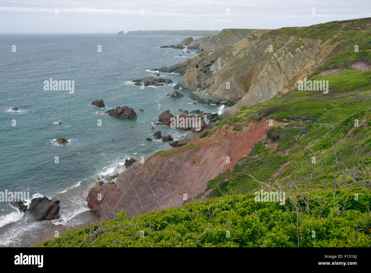Cliffs above Albion Sands, Marloes, Pembrokeshire, West Wales Skomer Island & Mew Stone in the distance Stock Photo