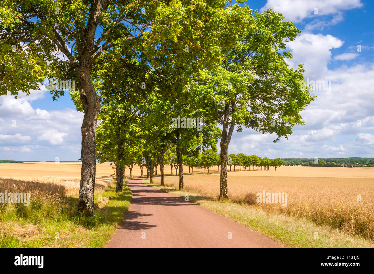 French tree hires stock photography and images Alamy