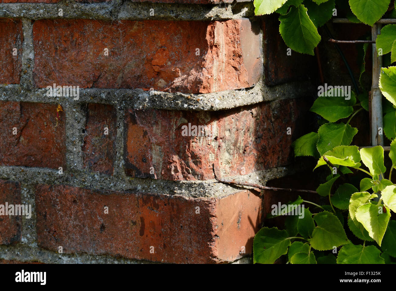 Brick erosion on old wall with strong cement. Stock Photo
