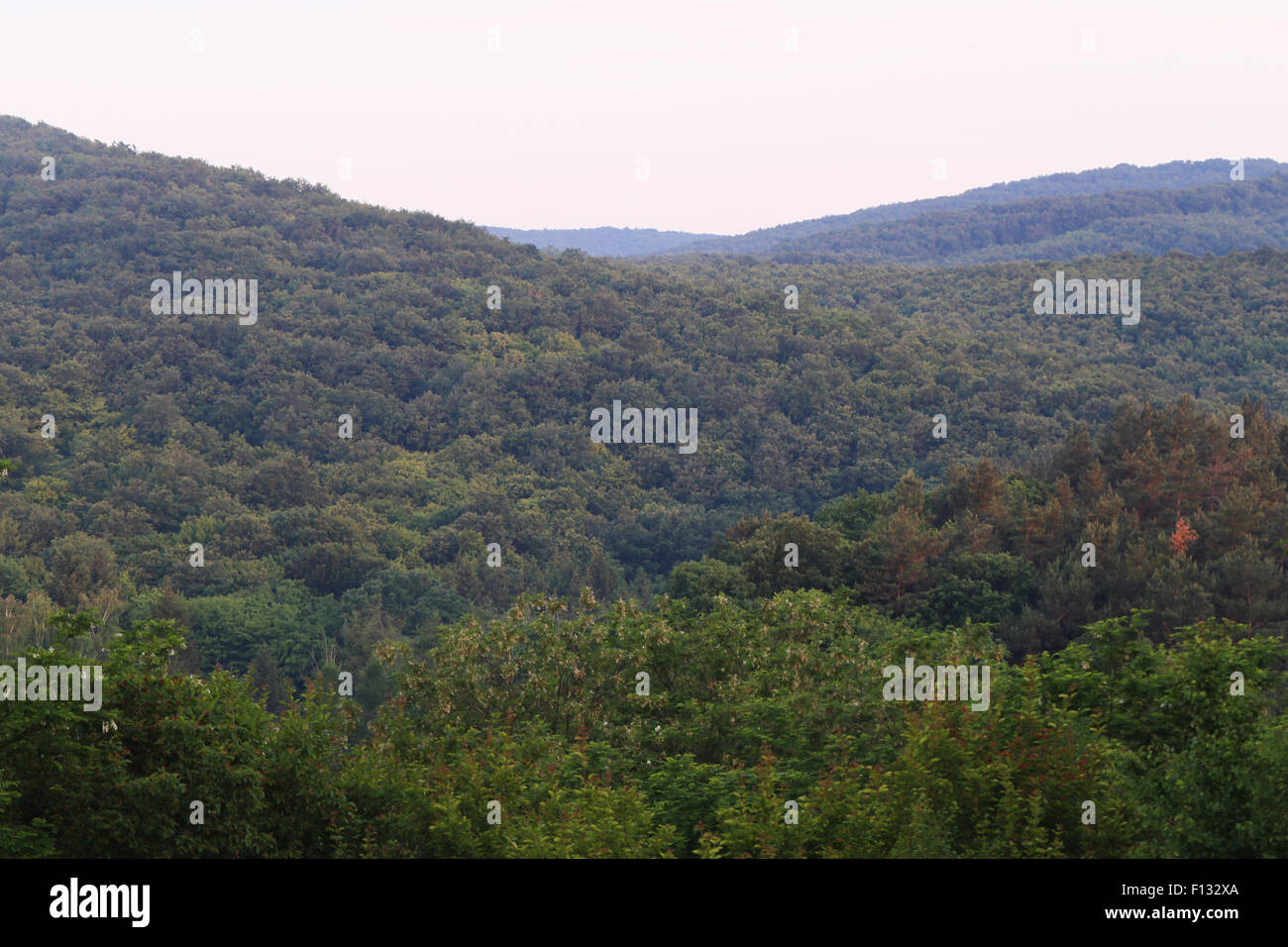 The immense Bükk National Park at dawn. The park consists of more than 430 square kilometers of forested hills Stock Photo