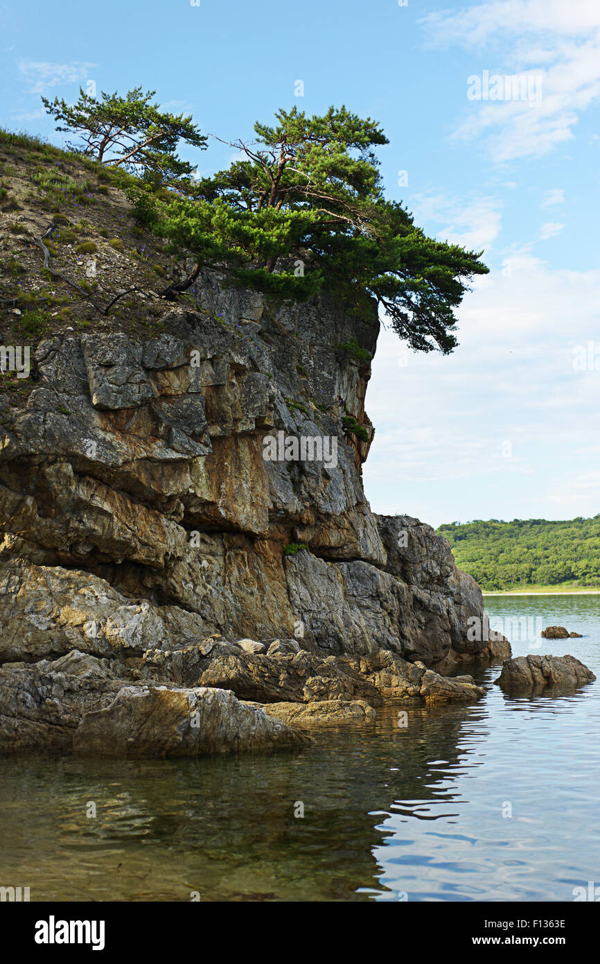 Beautiful seascape with rocks and groves of relict Pinus densiflora Siebold et Zucc. Japanese Sea. South of Primorsky Krai. Vlad Stock Photo