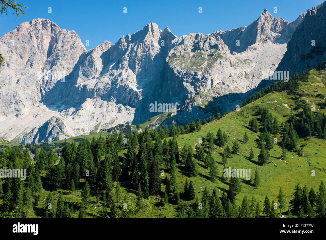 Dachstein, Steiermark, Styria, Austria Stock Photo