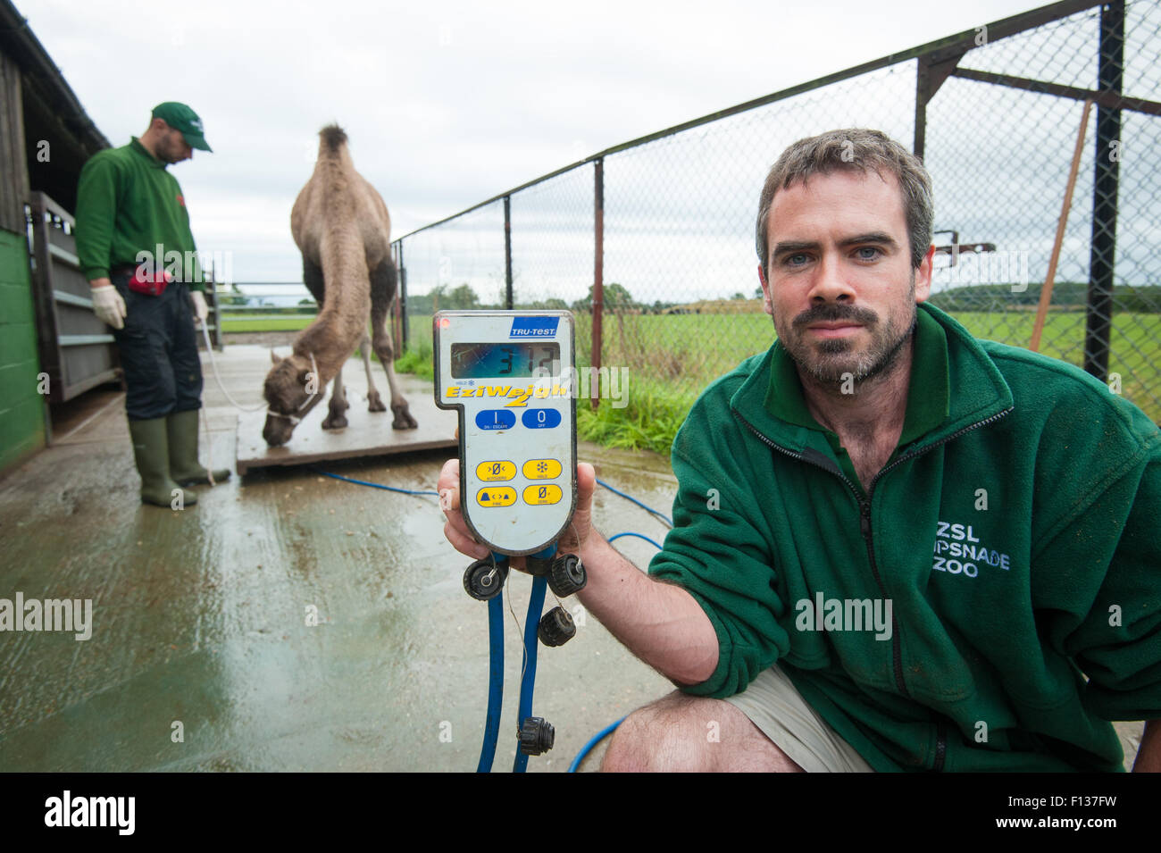 Camel keepers hi-res stock photography and images - Alamy