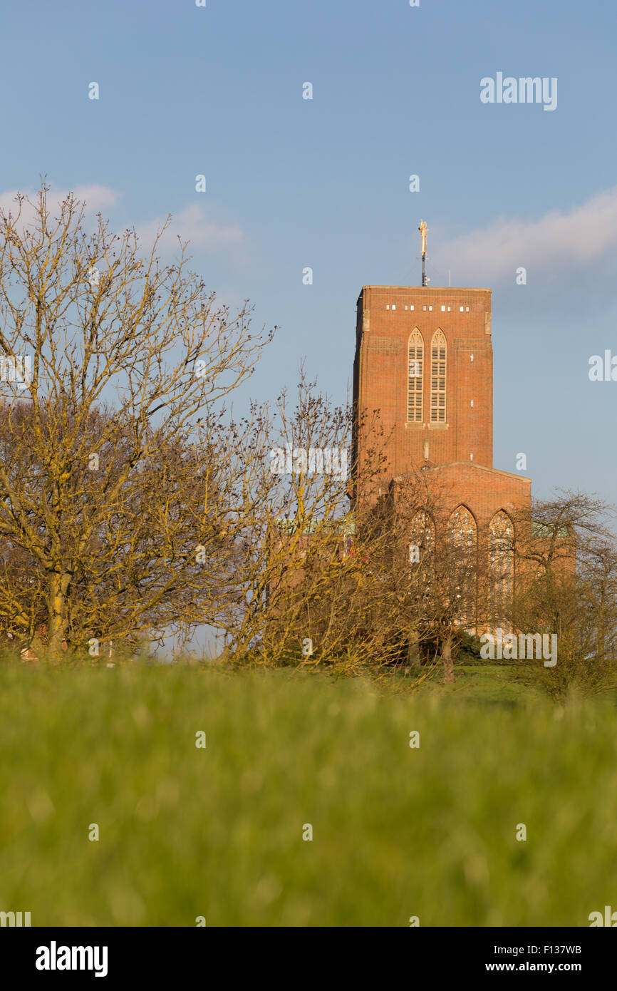 A low down view of Guildford Cathedral in the spring sunlight through the grass. Stock Photo