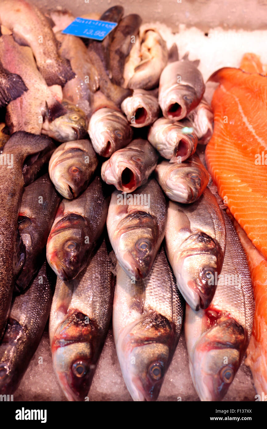 Fische in Auslage eines Fischgeschaefts, Berlin. Stock Photo