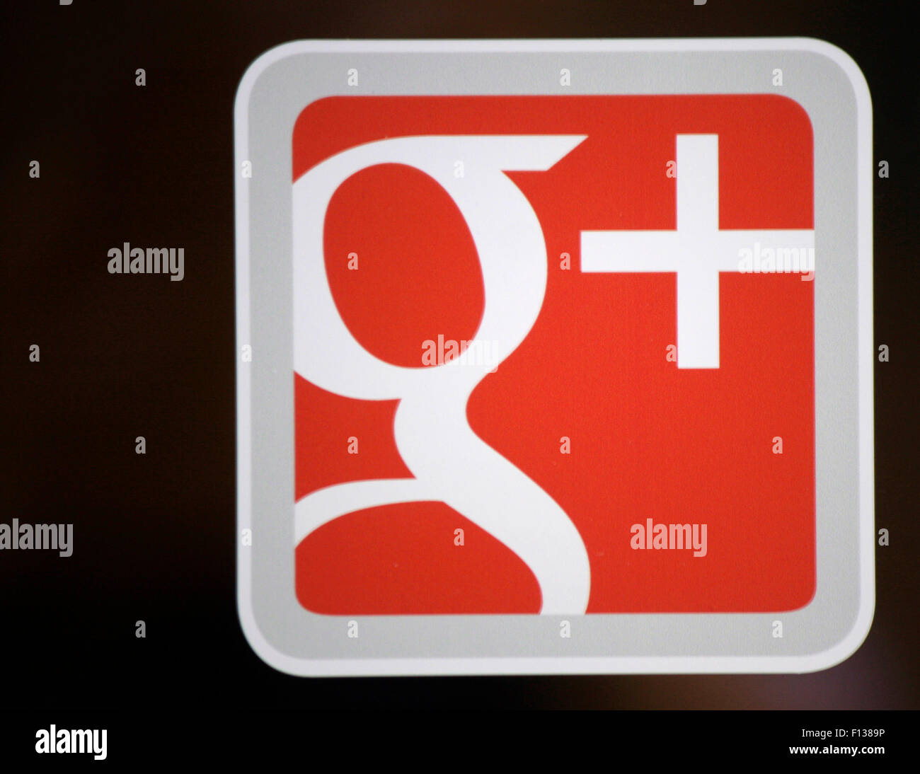 Markennamen: 'Google Plus', Frankfurt am Main. Stock Photo