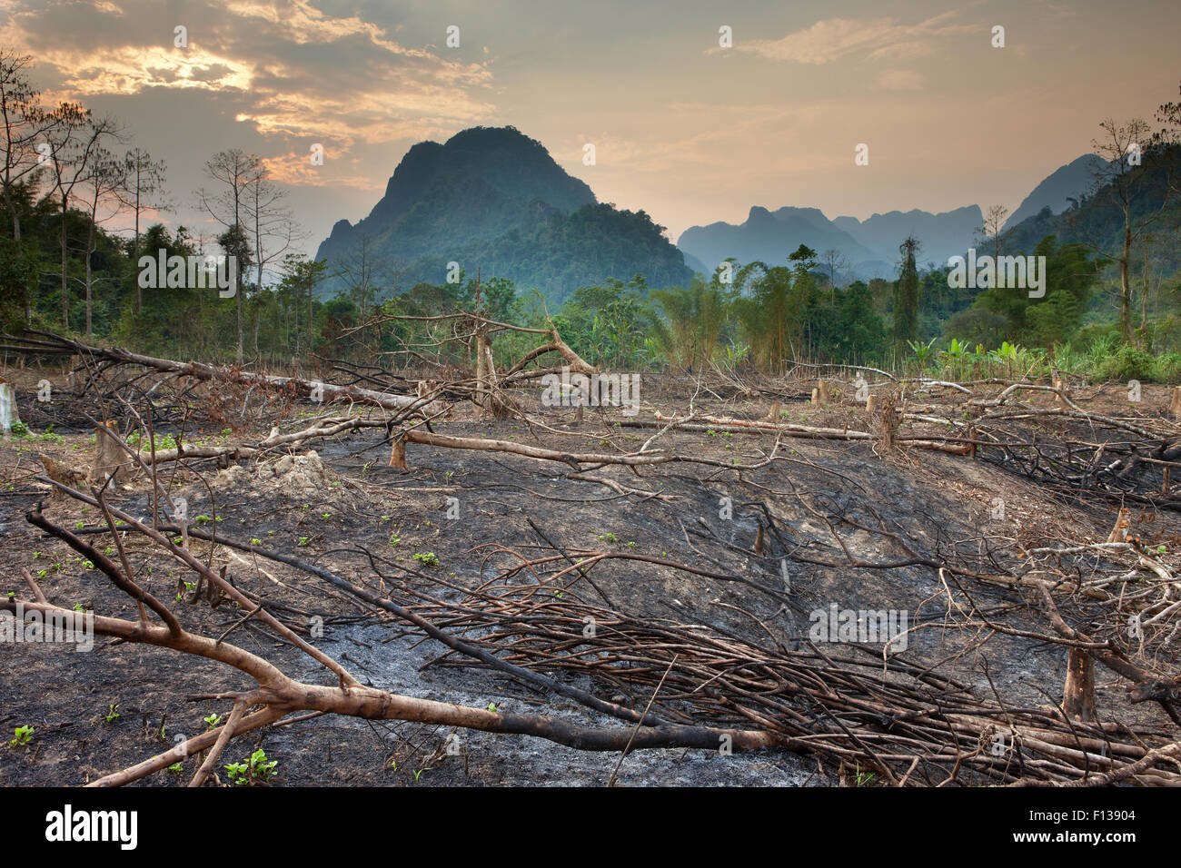 Slash and burn deforestation near Vang Vieng, Laos, March 2009. Stock Photo