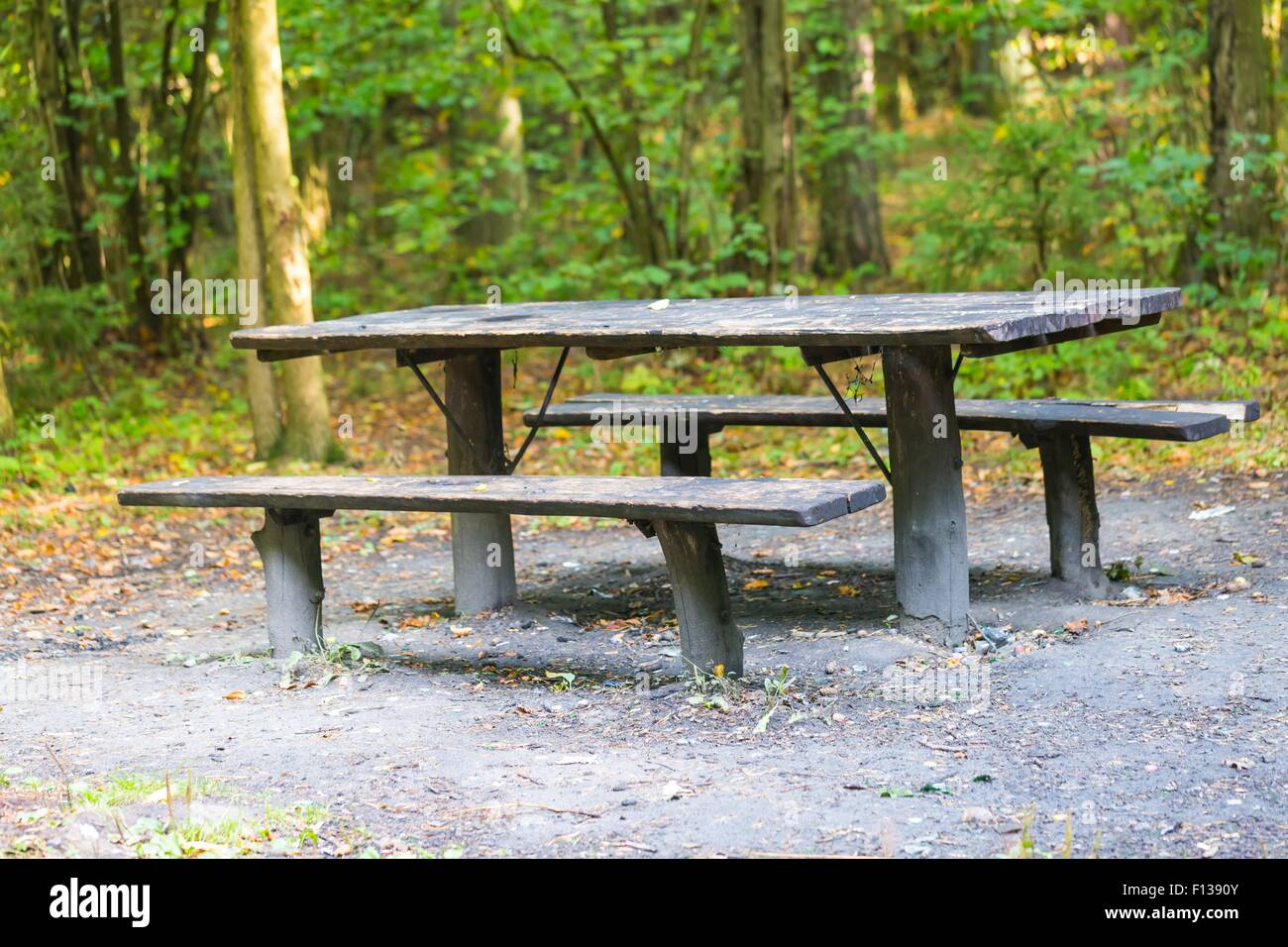 Bench and table in forest. Place for resting for tourists. Natural green forest landscape. Stock Photo