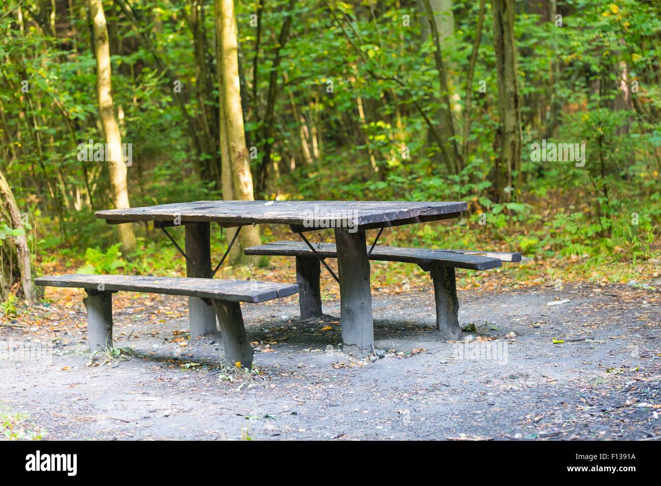 Bench and table in forest. Place for resting for tourists. Natural green forest landscape. Stock Photo