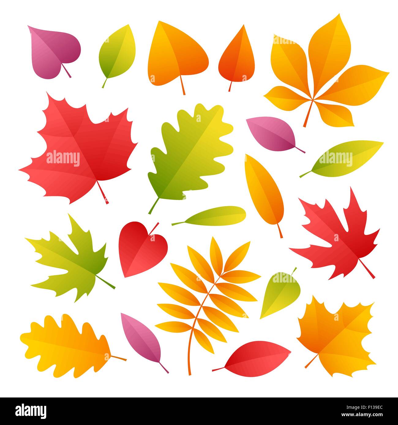 Set Of Colorful Autumn Leaves Stock Vector Image And Art Alamy