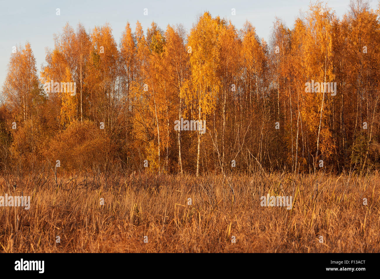 Nature landscape in autumn colors Stock Photo - Alamy